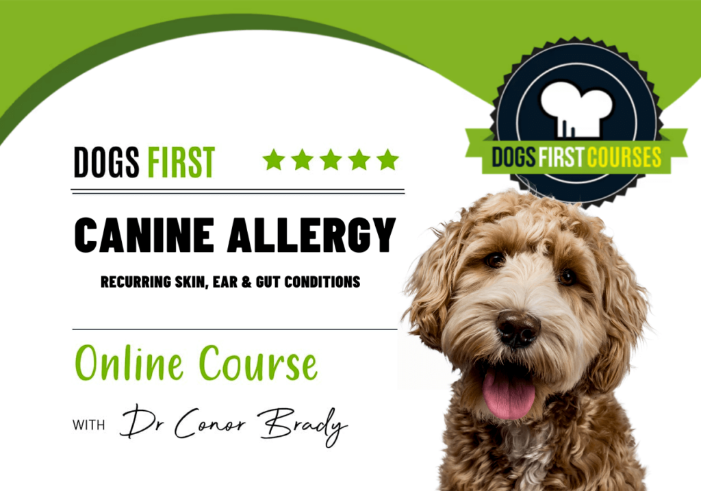 Koirien allergiakurssi 1