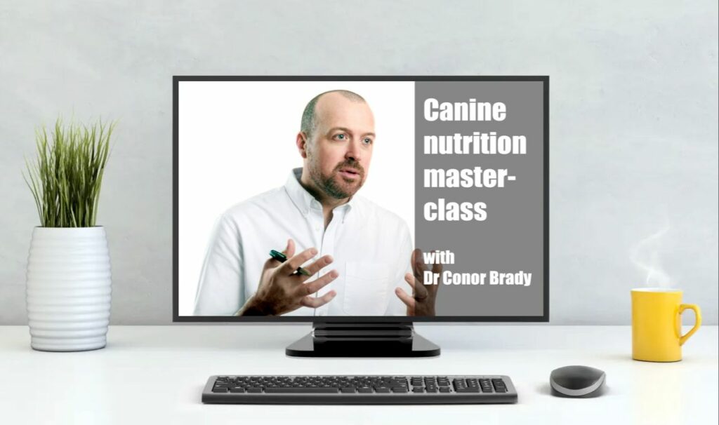 37750 773c 735c 8b74 1de111bd844 asdsa