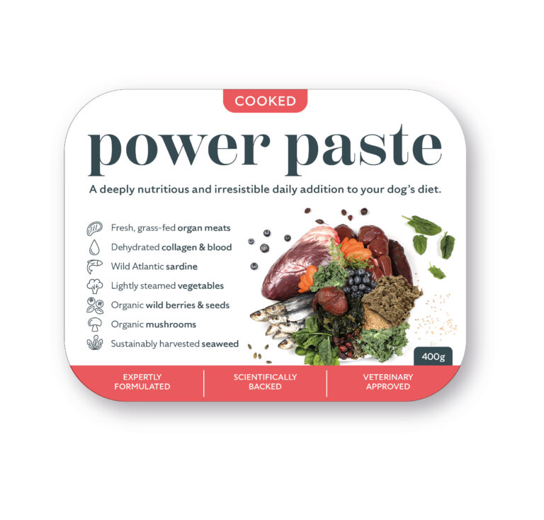cooked power paste