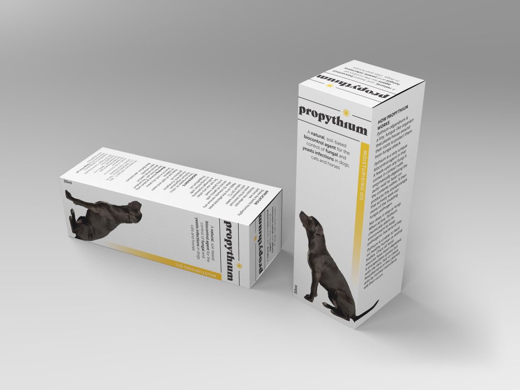 Propythium for yeast issues in dogs